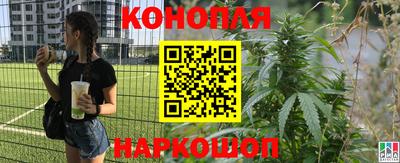 стаф Бузулук